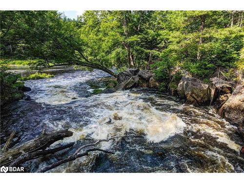 20 Black River Road, Washago, ON - Outdoor