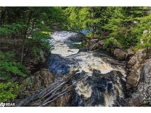 20 Black River Road, Washago, ON - Outdoor