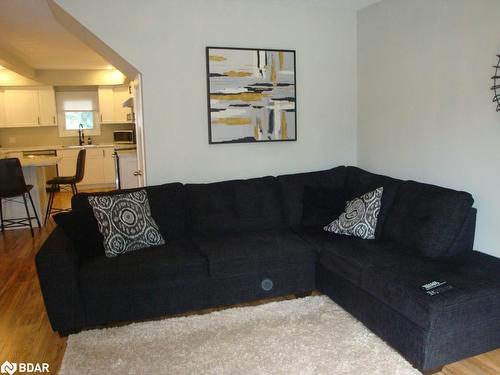 392 Niagara Street, Welland, ON - Indoor Photo Showing Living Room