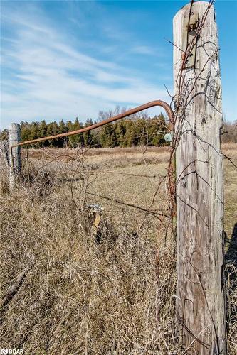 7468 25Th Sideroad Side Road, Adjala-Tosorontio, ON 