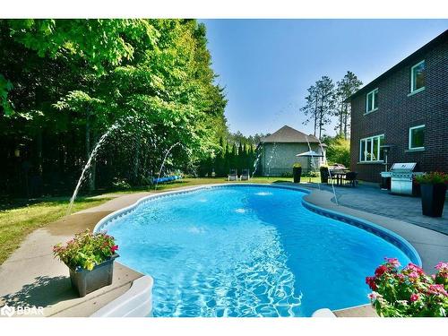 12 Lloyd Cook Drive E, Springwater, ON - Outdoor With In Ground Pool With Backyard