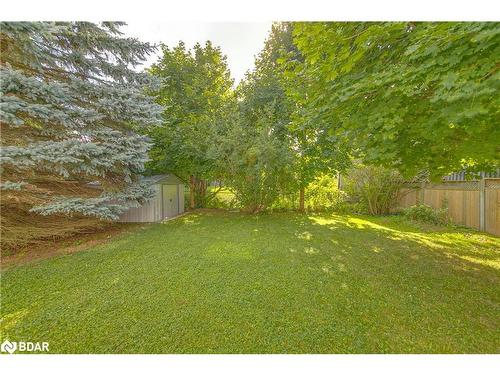 277 Nelson Street, Barrie, ON - Outdoor With Backyard