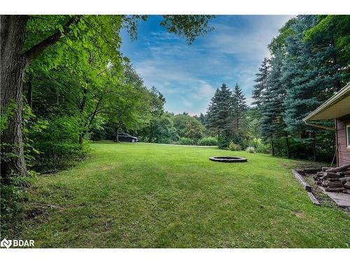 2 Mountainview Road, Mulmur, ON - Outdoor