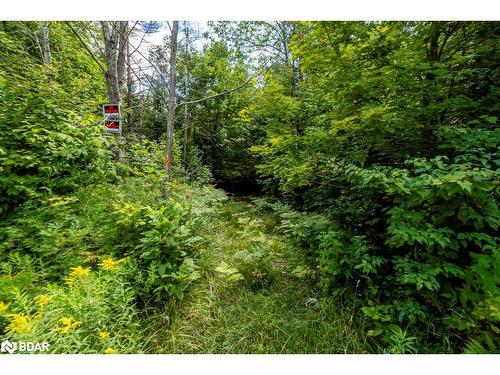 5349 30Th Side Road, Essa, ON 