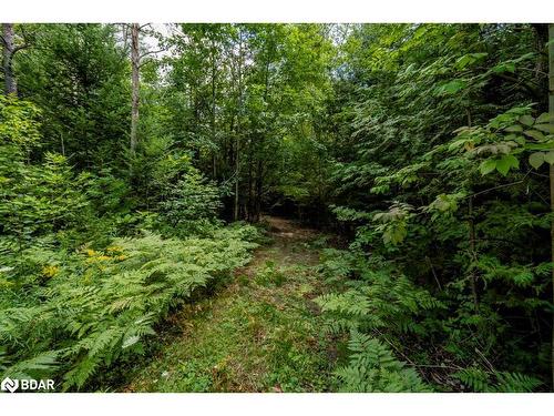 5349 30Th Side Road, Essa, ON 