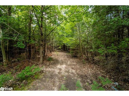 5349 30Th Side Road, Essa, ON 