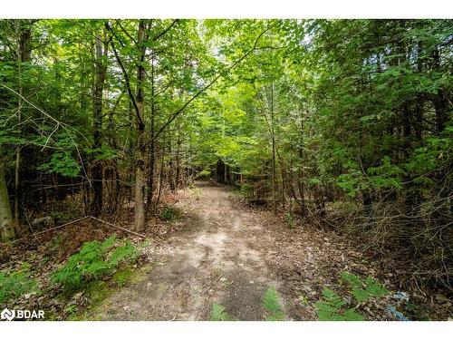 5349 30Th Side Road, Essa, ON 