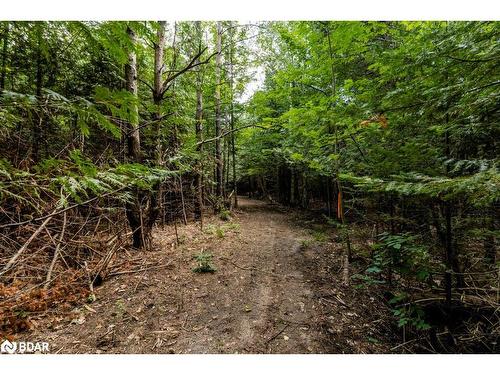 5349 30Th Side Road, Essa, ON 