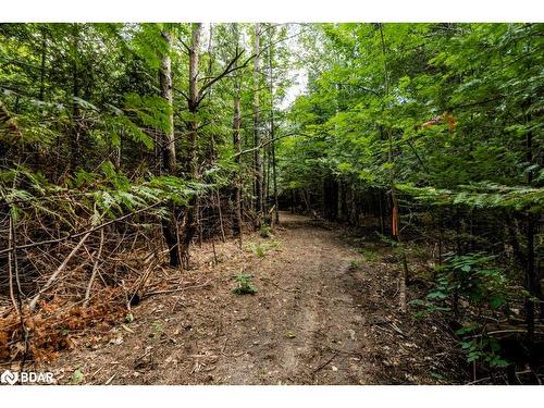 5349 30Th Side Road, Essa, ON 