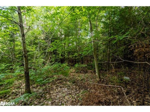 5349 30Th Side Road, Essa, ON 