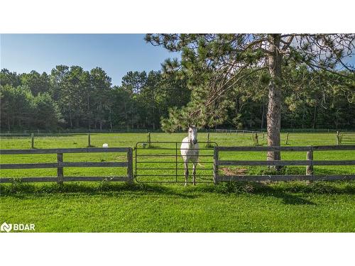 1398 Old Second Road North Road, Hillsdale, ON - Outdoor With View