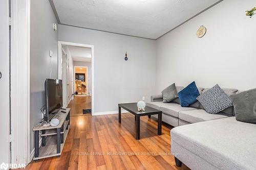 77 Province Street N, Hamilton, ON - Indoor Photo Showing Living Room