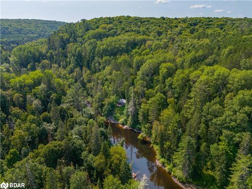 1569 Dyer Memorial Rd Road, Huntsville, ON - Outdoor With View