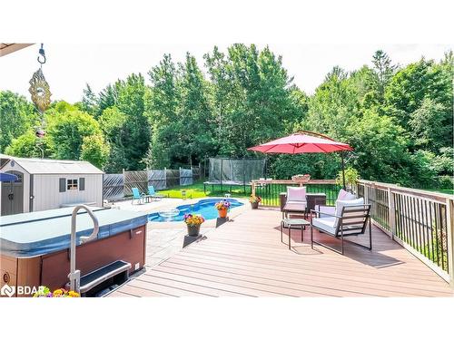 59 Silver Trail, Barrie, ON - Outdoor With In Ground Pool With Deck Patio Veranda With Backyard