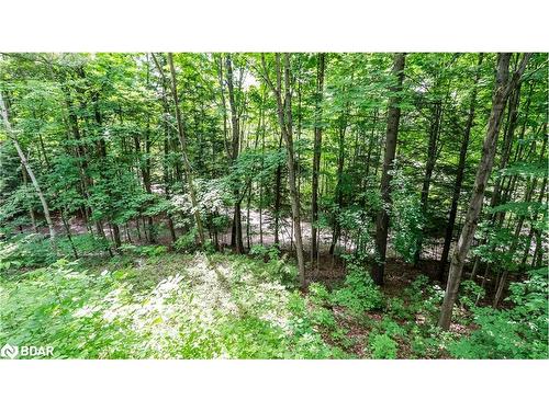 39 Maplecrest Crt Court, Oro-Medonte, ON - Outdoor