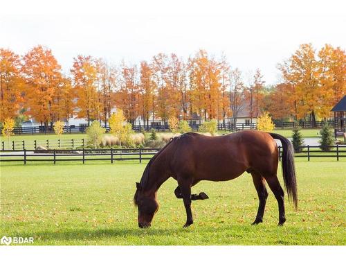 Lot 39 Friesian Court, Oro-Medonte, ON - Outdoor With View