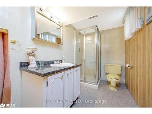 16 Langstone Crescent, Georgetown, ON - Indoor Photo Showing Bathroom