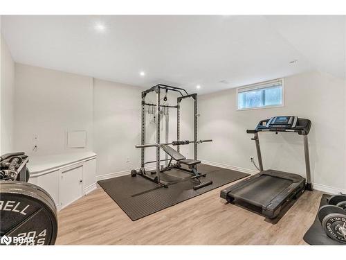 25 Silver Court, Hamilton, ON - Indoor Photo Showing Gym Room