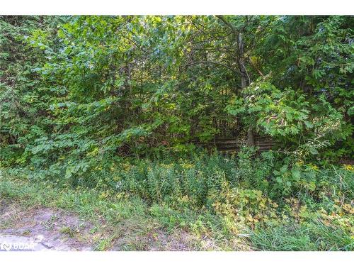 Lot 3 Line 8 N, Oro-Medonte, ON 