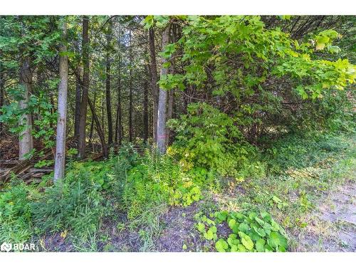 Lot 3 Line 8 N, Oro-Medonte, ON 