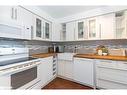 1251 Coleman Court, Innisfil, ON  - Indoor Photo Showing Kitchen With Double Sink 