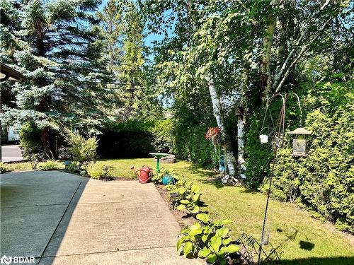 24 Broadview Street, Collingwood, ON - Outdoor