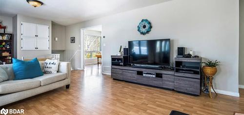 24 Broadview Street, Collingwood, ON - Indoor Photo Showing Living Room