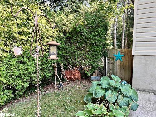 24 Broadview Street, Collingwood, ON - Outdoor