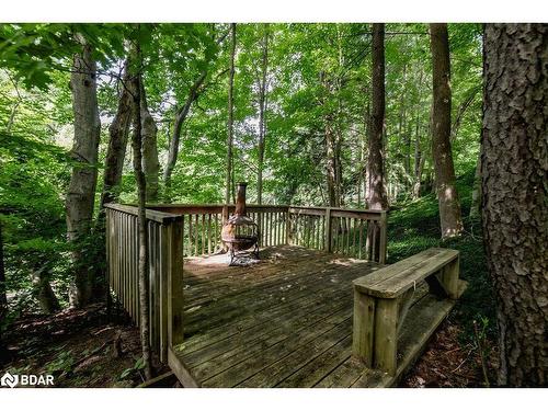 66 Finlay Mill Road, Midhurst, ON - Outdoor With Deck Patio Veranda