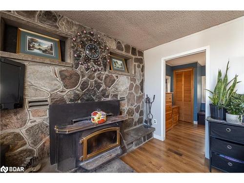 718506 Hwy 6 Highway, Shallow Lake, ON - Indoor Photo Showing Living Room With Fireplace