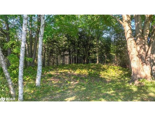 5450 11 Highway S, Oro-Medonte, ON - Outdoor With View