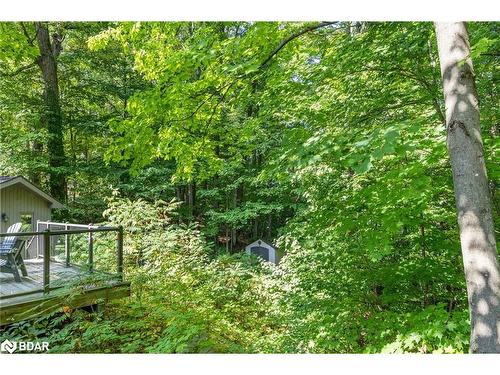 37 Pine Ridge Trail, Oro-Medonte, ON - Outdoor