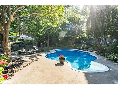 65 Melrose Avenue, Barrie, ON - Outdoor With In Ground Pool With Backyard