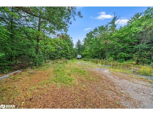 175 North Sandy Plains Road, Parry Sound, ON 