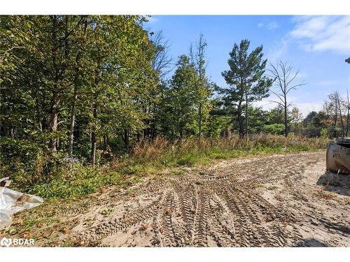 1077 Monck Road Road, Ramara, ON - Outdoor