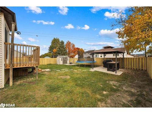 4 Berkar Street, Angus, ON - Outdoor With Backyard