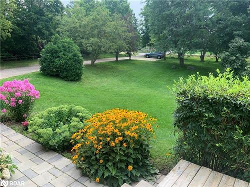 5884 7Th Line, Beeton, ON - Outdoor