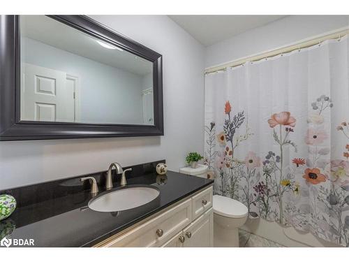 38 Lamers Rd, New Lowell, ON - Indoor Photo Showing Bathroom