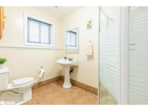 38 Lamers Rd, New Lowell, ON - Indoor Photo Showing Bathroom