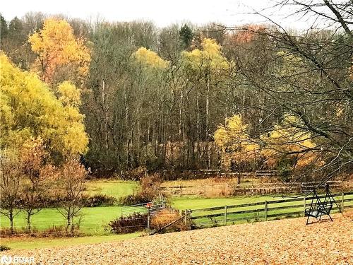 14902 Mount Pleasant Road, Caledon, ON - Outdoor With View