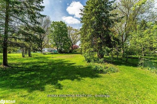 6 Mill Street E, Springwater, ON - Outdoor