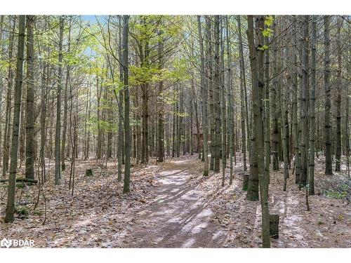 5745 Line 3 N, Oro-Medonte, ON - Outdoor With View