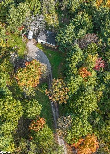 1528 Kitchen Side Road, Severn, ON - Outdoor