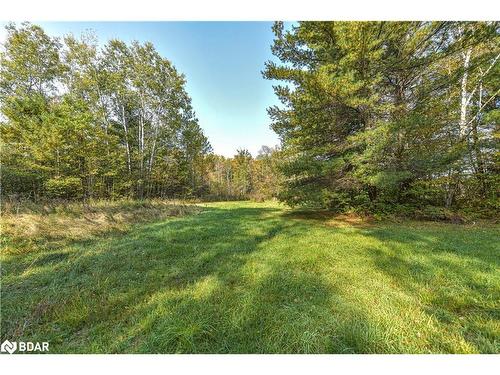 1528 Kitchen Side Road, Severn, ON - Outdoor