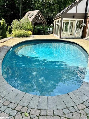 11 Park Trail, Midhurst, ON - Outdoor With In Ground Pool With Backyard