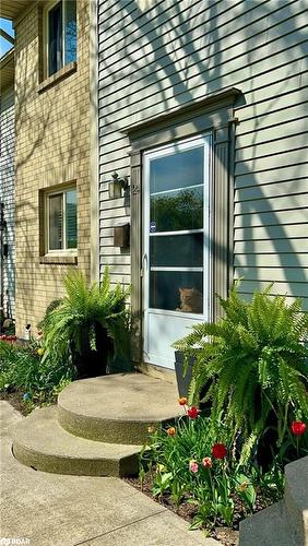 24-65 Dorchester Boulevard, St. Catharines, ON - Outdoor