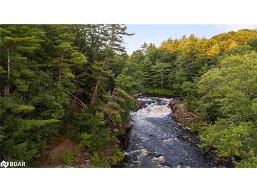 1401 Coopers Falls Road, Washago, ON - Outdoor With View