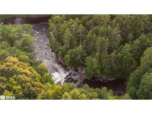 1401 Coopers Falls Road, Washago, ON - Outdoor With View