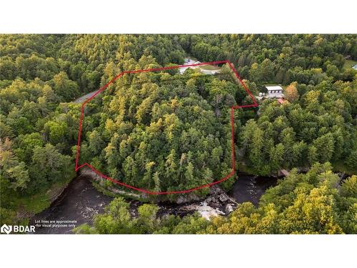 1401 Coopers Falls Road, Washago, ON - Outdoor With View