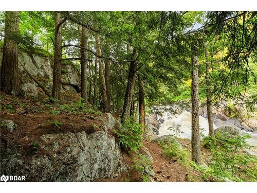 1401 Coopers Falls Road, Washago, ON - Outdoor With View